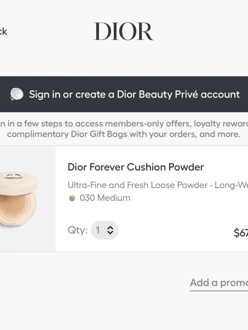 Dior Forever Cushion Loose Powder - deep